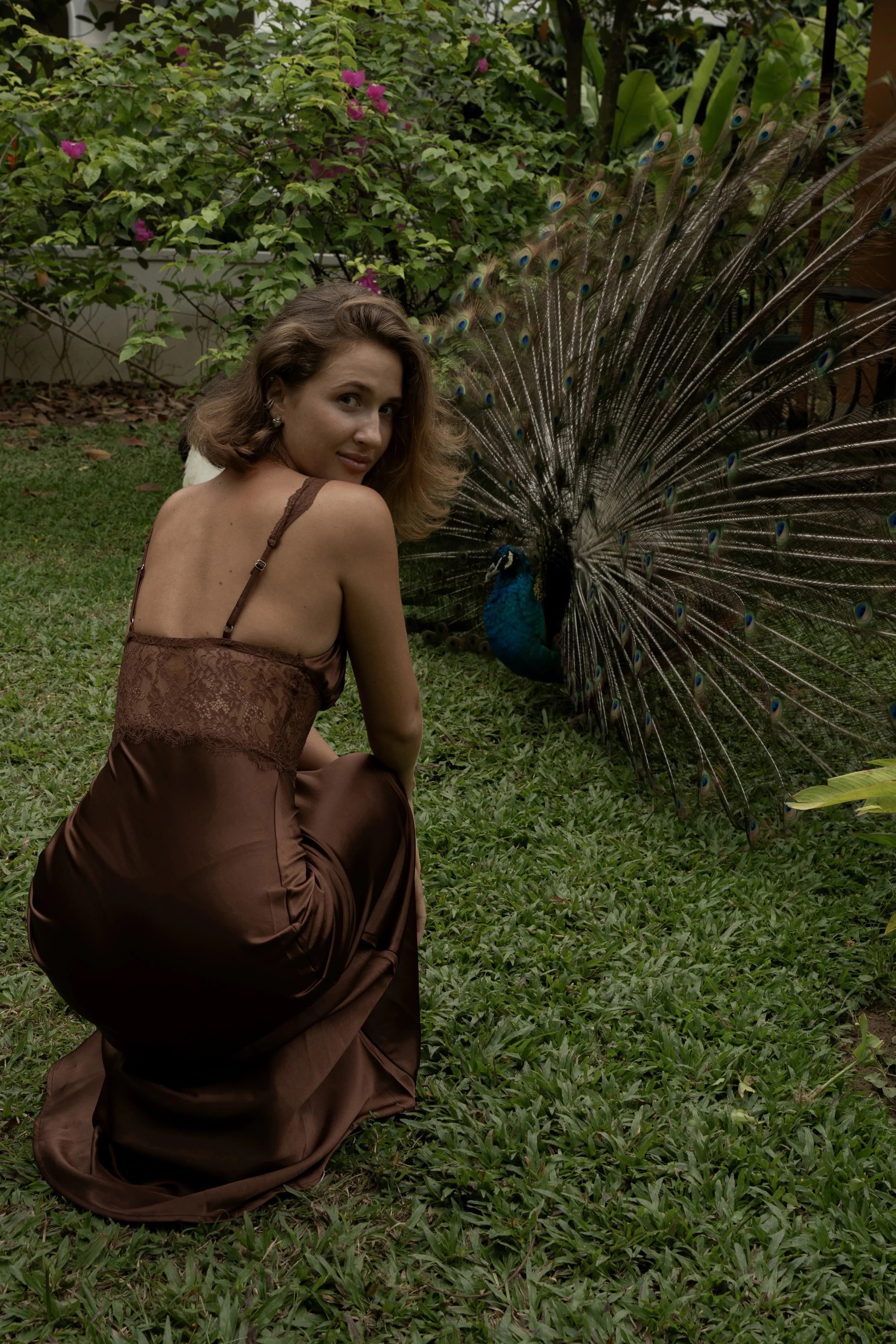 Satin dress beside a peacock